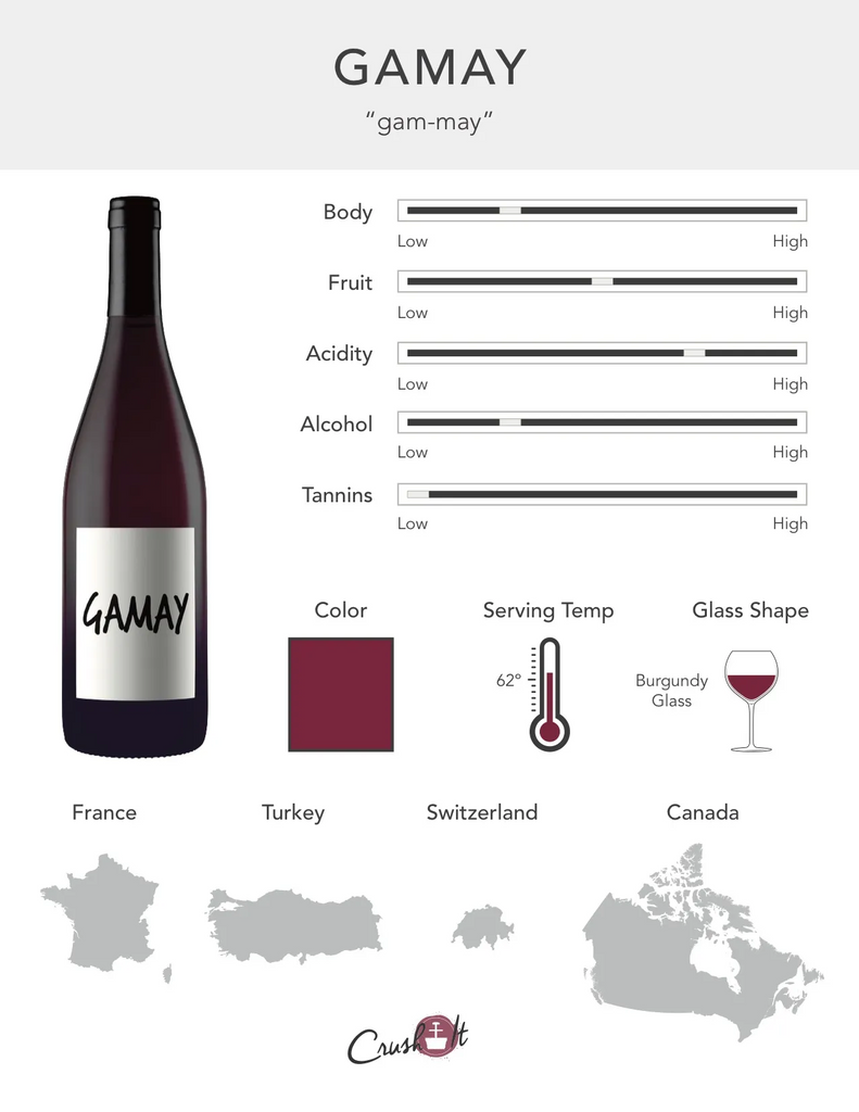Gamay Grape Infographic showing wine profile for Gamay, wine color for Gamay, serving temperature for Gamay, glass style for Gamay, and countries that produce Gamay