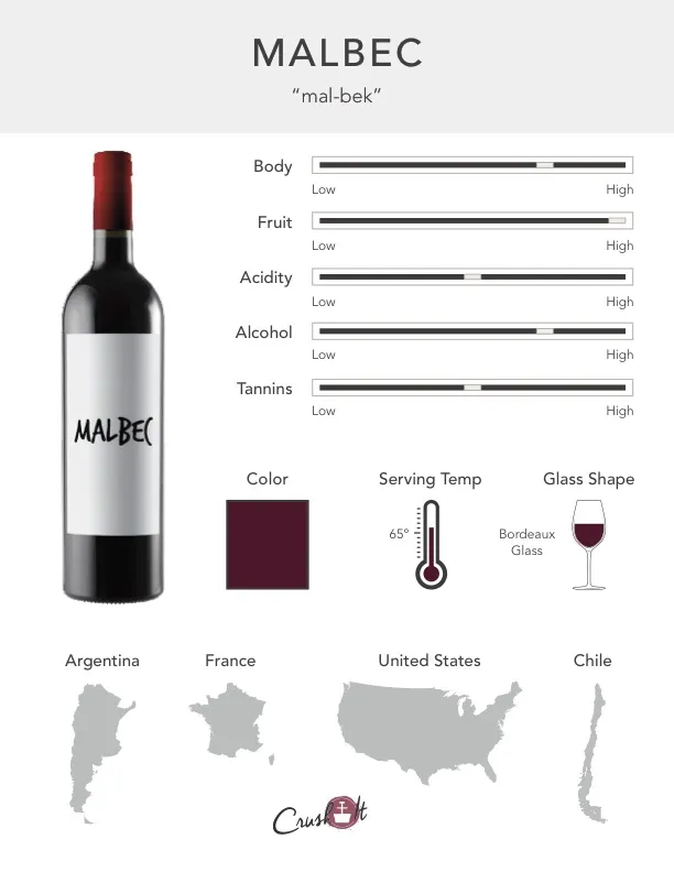 Malbec Grape Infographic showing wine profile for Malbec, wine color for Malbec, serving temperature for Malbec, glass style for Malbec, and countries that produce Malbec
