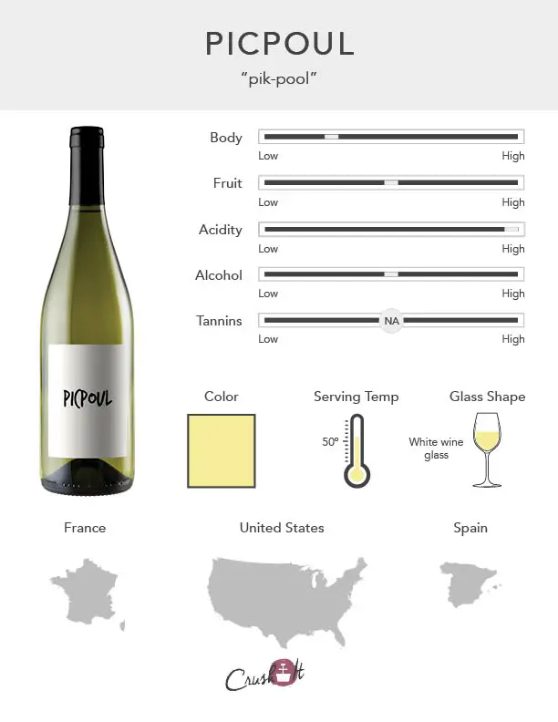 Picpoul Grape Infographic showing wine profile for Picpoul, wine color for Picpoul, serving temperature for Picpoul, glass style for Picpoul, and countries that produce Picpoul